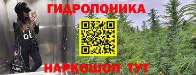 прущие крисы Малгобек