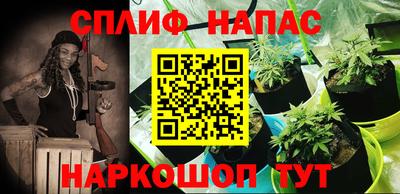прущие крисы Малгобек