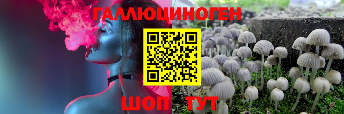где купить наркотик  Псилоцибиновые грибы мицелий  Вход с VPN  Псилоцибиновые грибы Psilocybine cubensis  Феодосия 